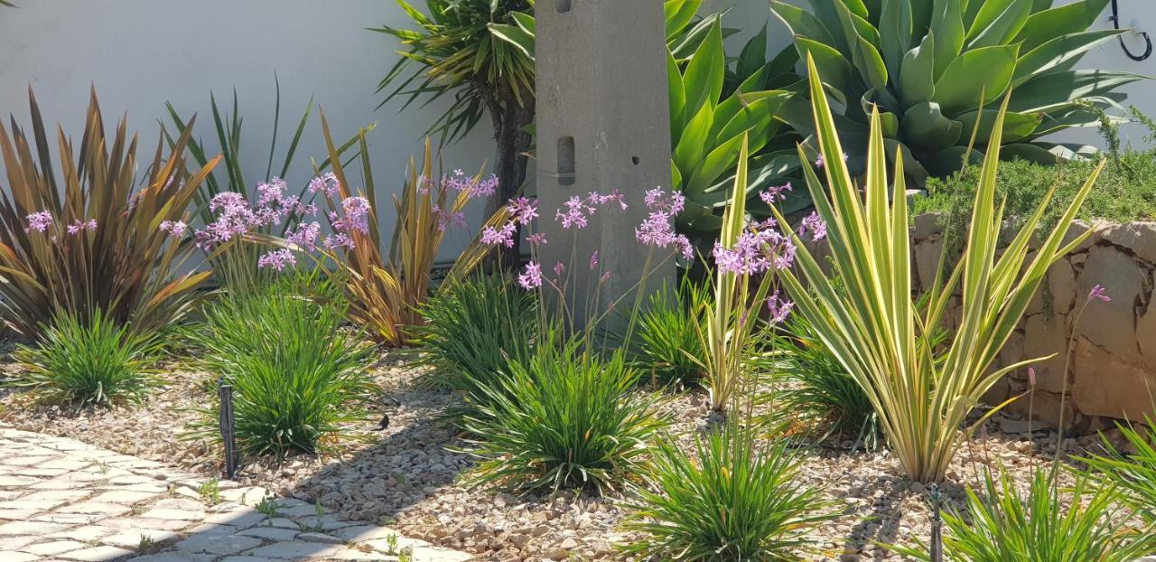 Villa Quinta Da Violeta Loulé Eksteriør bilde